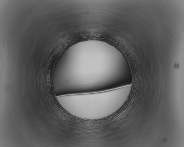 X0000097630818200802290842
