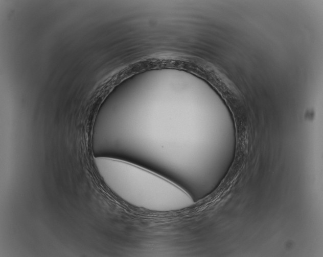 X0000097630821200802290842