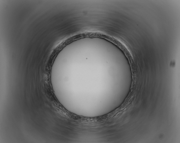 X0000097630823200802290842
