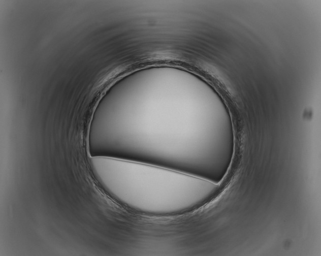 X0000097630825200802290842