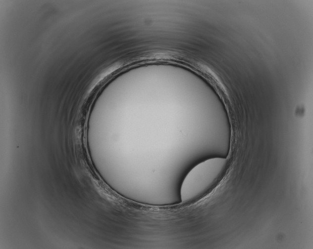 X0000097630827200802290842