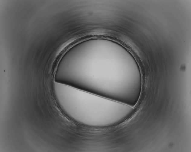 X0000097630829200802290842