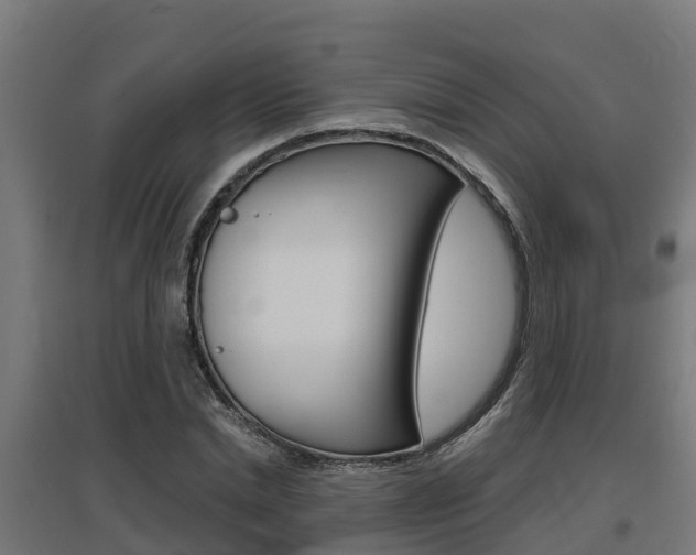 X0000097630830200802290842