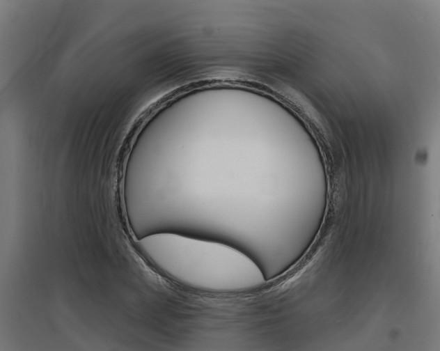 X0000097630831200802290842