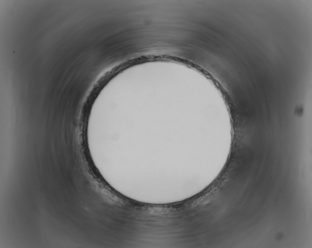 X0000097630832200802290842