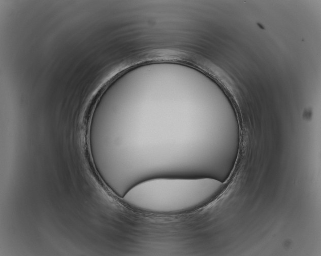 X0000097630835200802290842