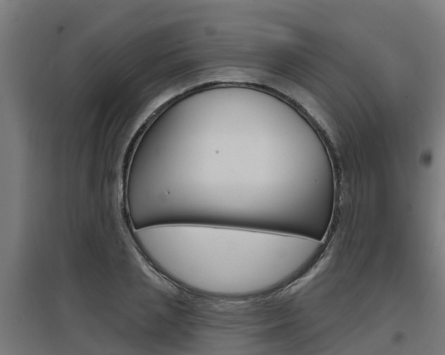 X0000097630837200802290842