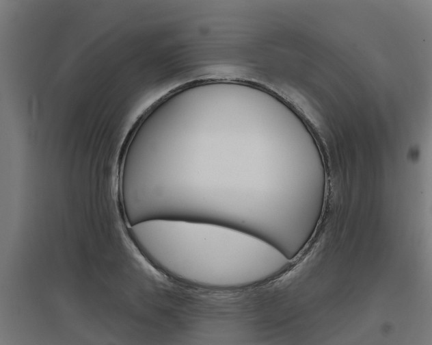 X0000097630839200802290842