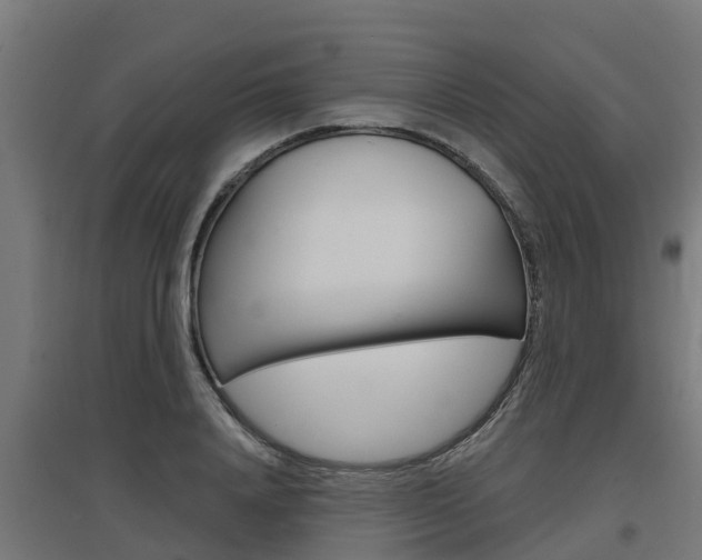 X0000097630840200802290842