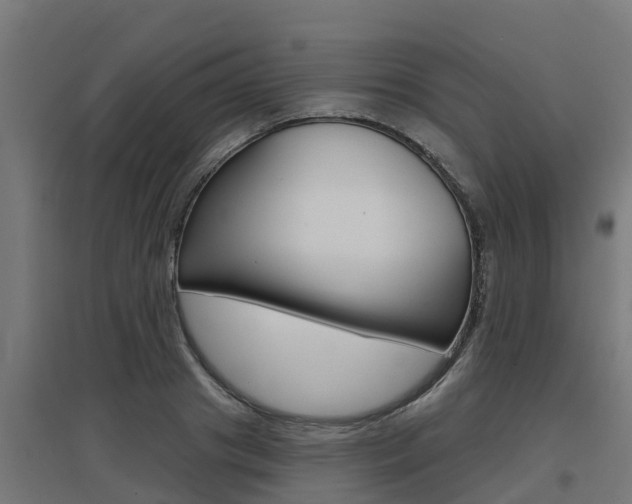 X0000097630841200802290842