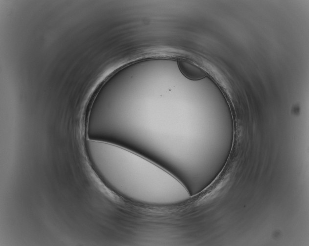 X0000097630843200802290842