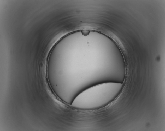 X0000097630844200802290842