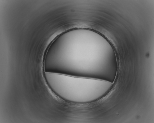 X0000097630845200802290842