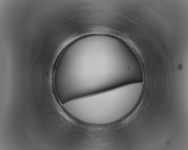 X0000097630846200802290842