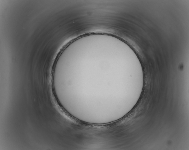 X0000097630848200802290842