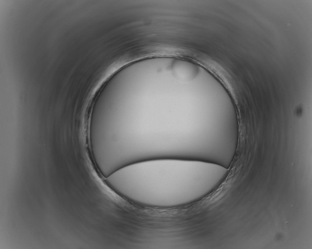 X0000097630851200802290843
