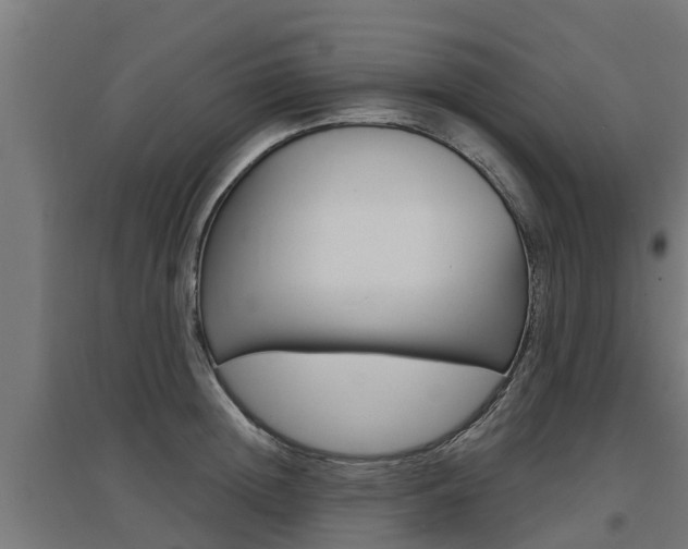 X0000097630852200802290843