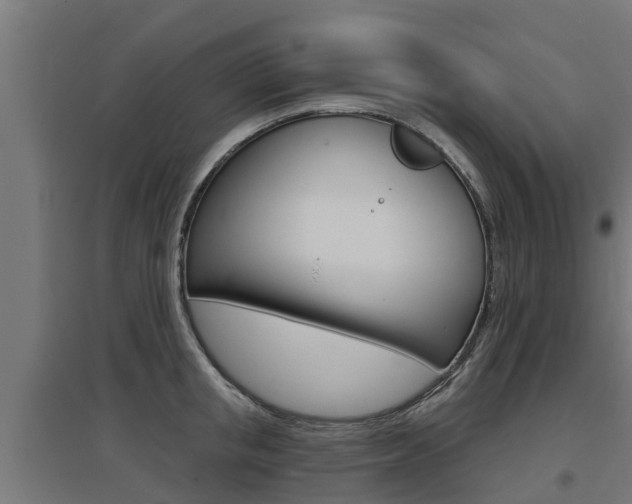 X0000097630853200802290843