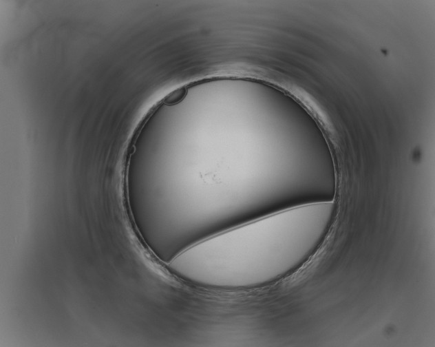 X0000097630854200802290843
