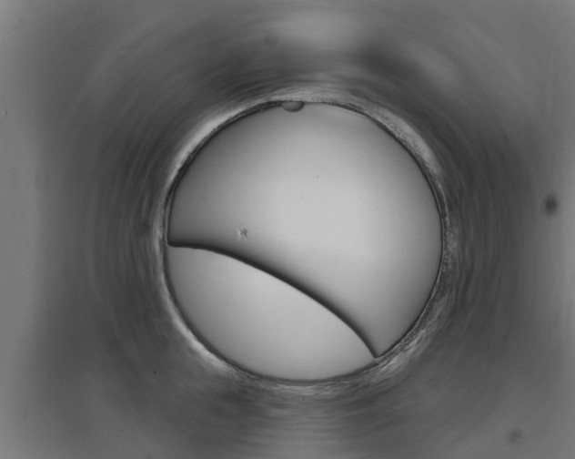 X0000097630855200802290843