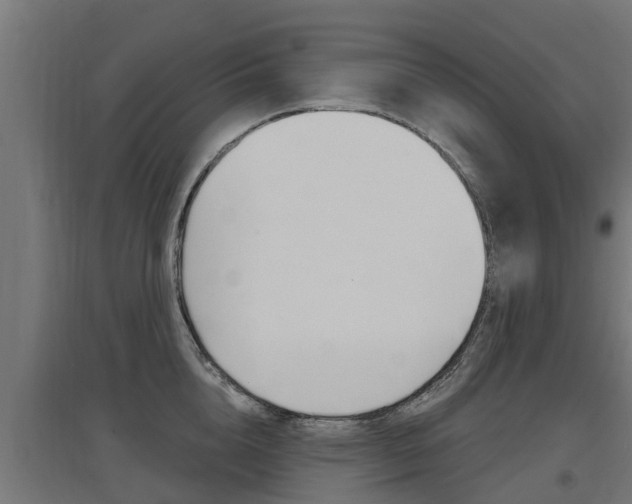 X0000097630856200802290843