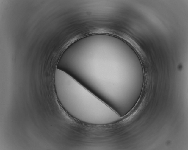 X0000097630857200802290843