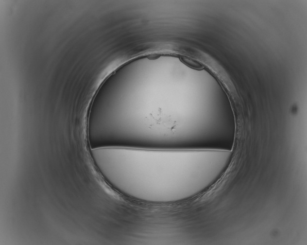 X0000097630858200802290843