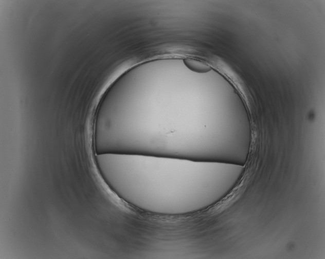 X0000097630859200802290843
