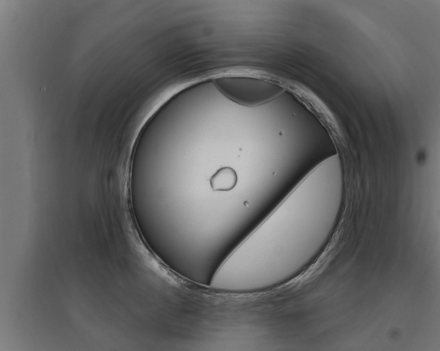 X0000097630860200802290843