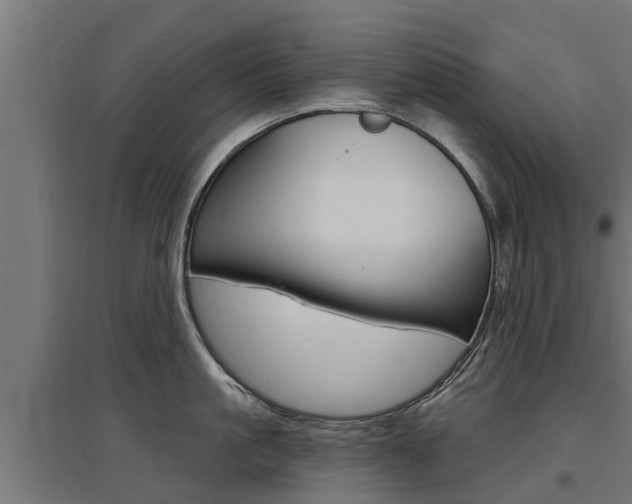 X0000097630861200802290843