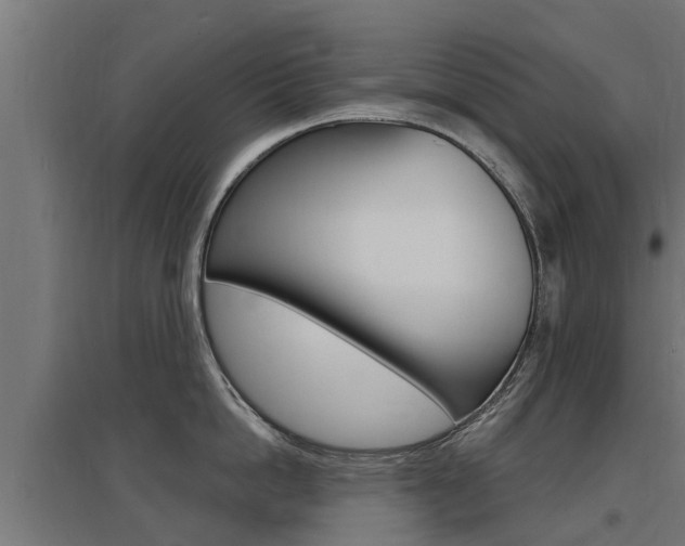 X0000097630862200802290843