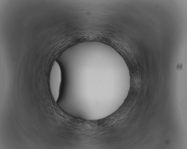 X0000097630865200802290842