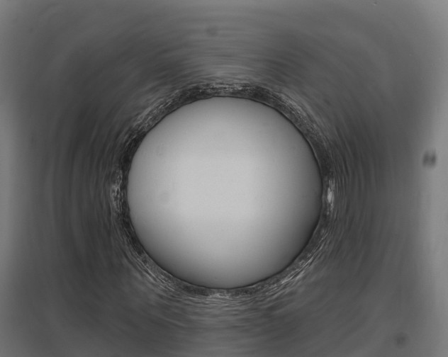 X0000097630867200802290842