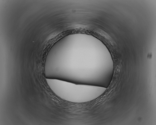 X0000097630869200802290842