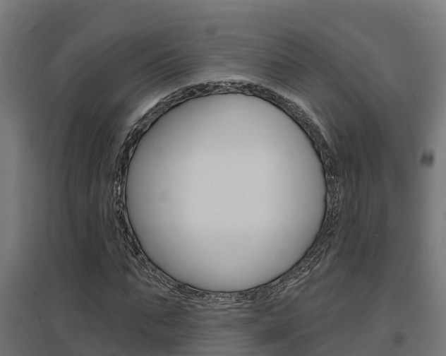 X0000097630871200802290842
