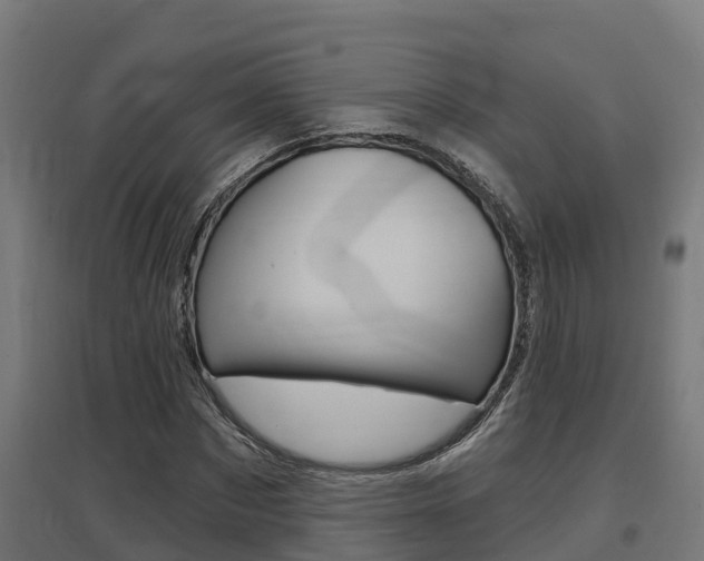 X0000097630873200802290842