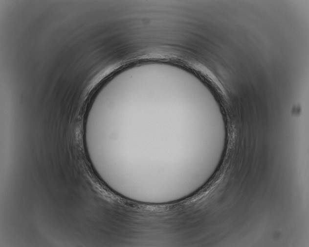 X0000097630874200802290842
