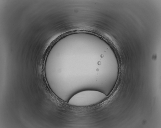X0000097630875200802290842