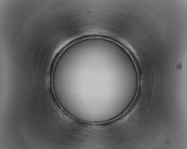 X0000097630877200802290842