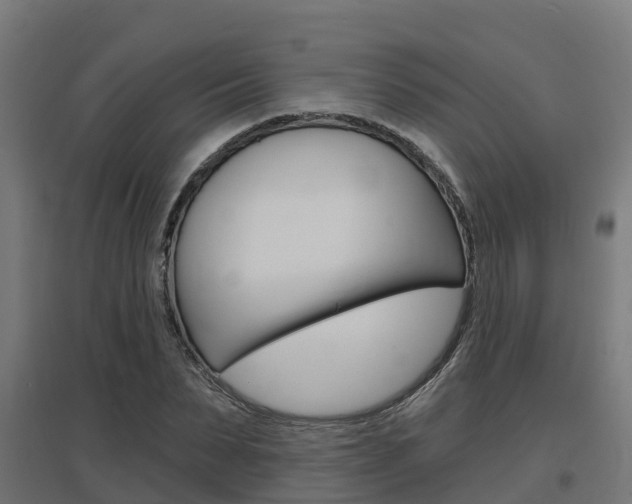 X0000097630879200802290842