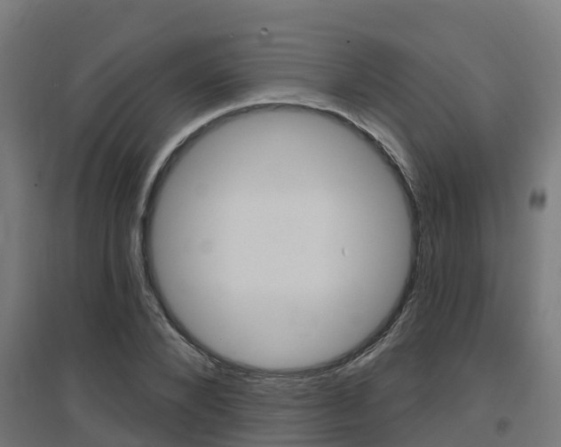 X0000097630880200802290842