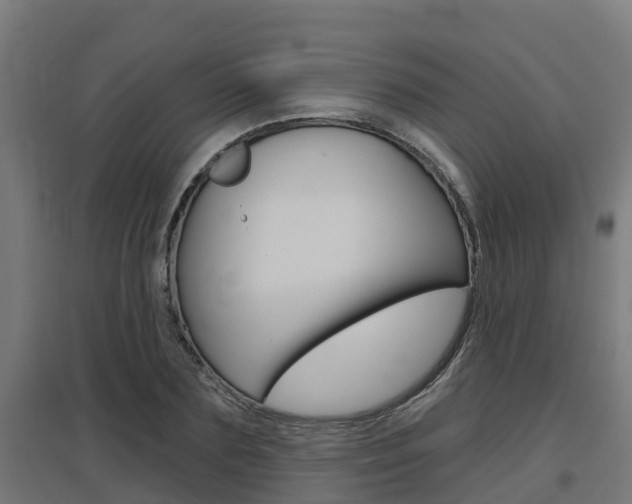 X0000097630883200802290842