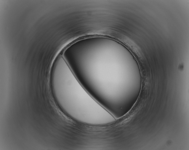 X0000097630884200802290842
