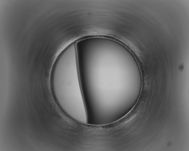X0000097630885200802290842