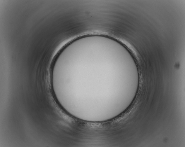 X0000097630886200802290842