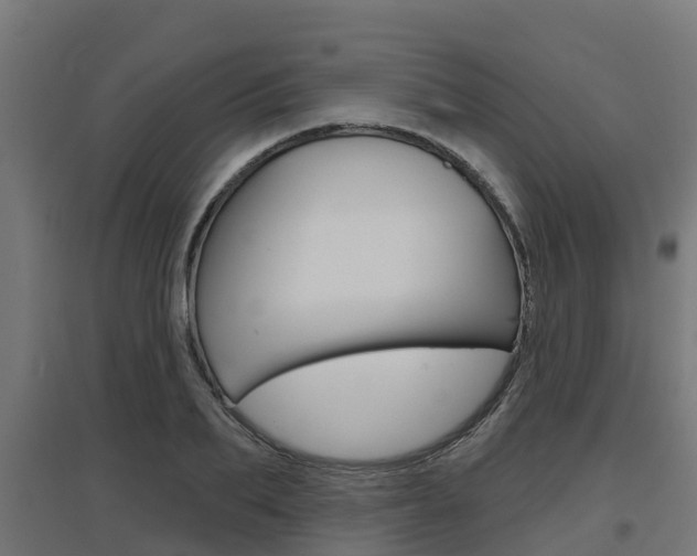 X0000097630887200802290842
