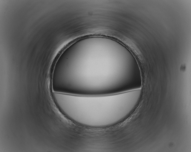 X0000097630888200802290841