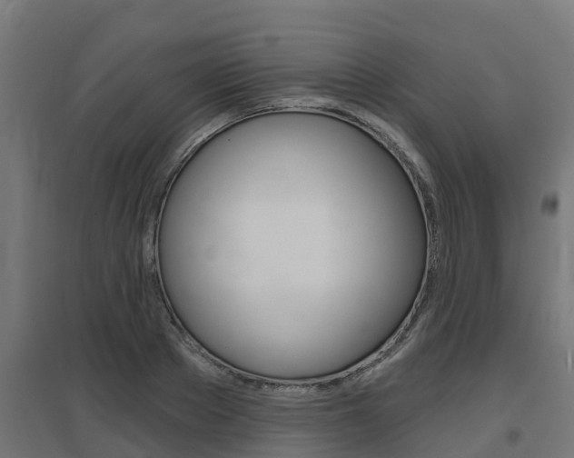 X0000097630889200802290841
