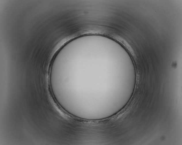 X0000097630890200802290841