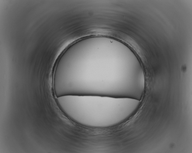 X0000097630891200802290841